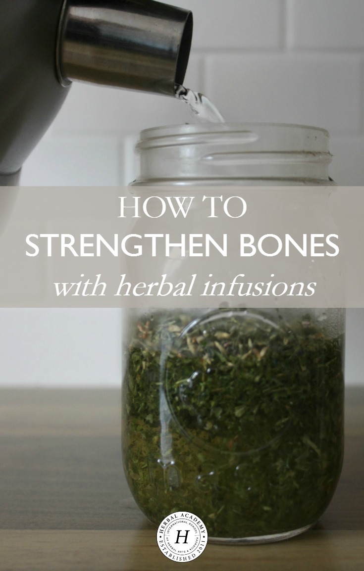How To Strengthen Bones With Herbal Infusions | Herbal Academy | Here's a bone building protocol as well as a mineral-rich recipe to help you strengthen bones with herbal infusions while they are on the mend!
