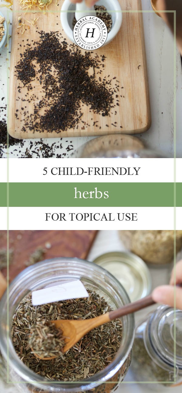 5 Child-Friendly Herbs For Topical Use | Herbal Academy | Looking for simple-to-make remedies for your kids? Here's 5 child-friendly herbs for topical use to help you do just that!