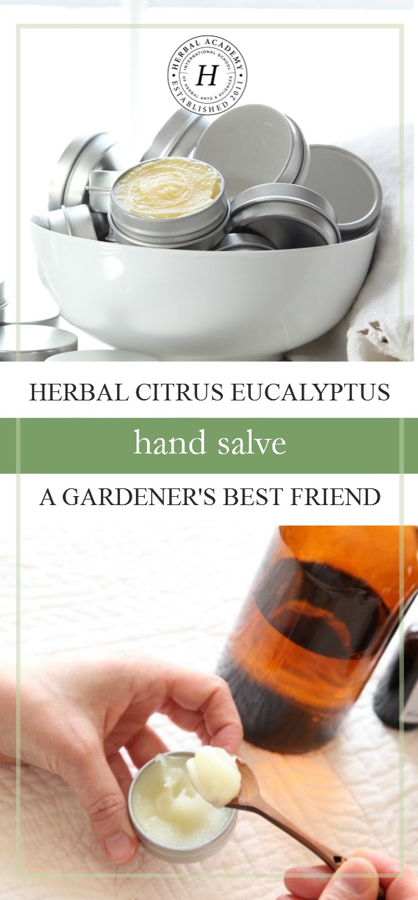 Herbal Citrus Eucalyptus Hand Salve: A Gardener’s Best Friend | Herbal Academy | This herbal citrus eucalyptus hand salve will not only moisturize your gardening hands, it will soothe insect bites, scrapes, and cuts!