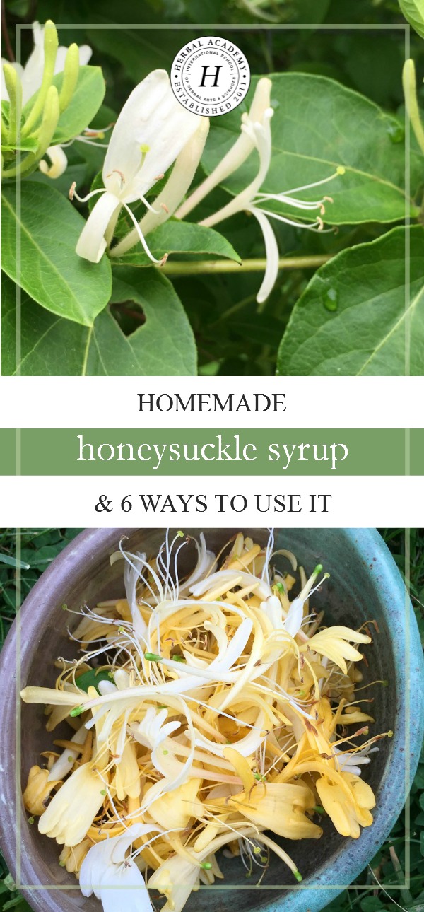 Homemade Honeysuckle Syrup & 6 Ways To Use It | Herbal Academy | Homemade honeysuckle syrup with its light, sweet flavor, is so easy to make! Here's a simple recipe to get you started!