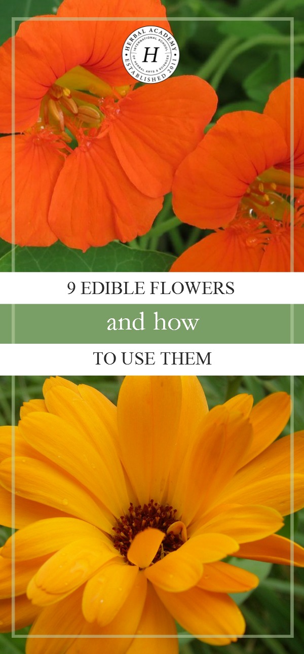 9 Edible Flowers and How To Use Them | Herbal Academy | Discover how to use edible flowers and take a closer look at nine of our favorites!