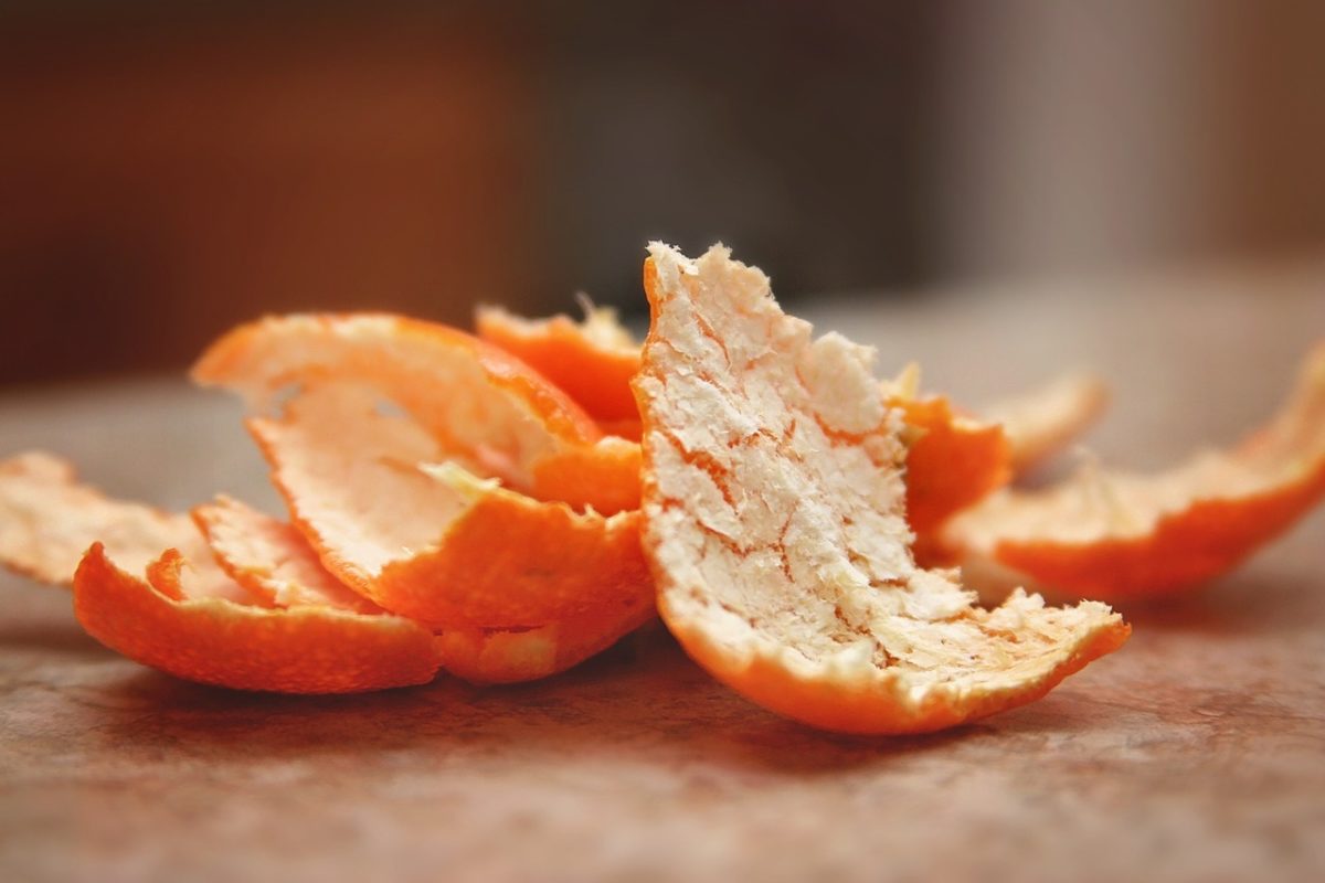  4 Ways To Use Leftover Orange Peels | Herbal Academy | If you're a fan of oranges, you'll love these 4 ways to use the leftover orange peels!