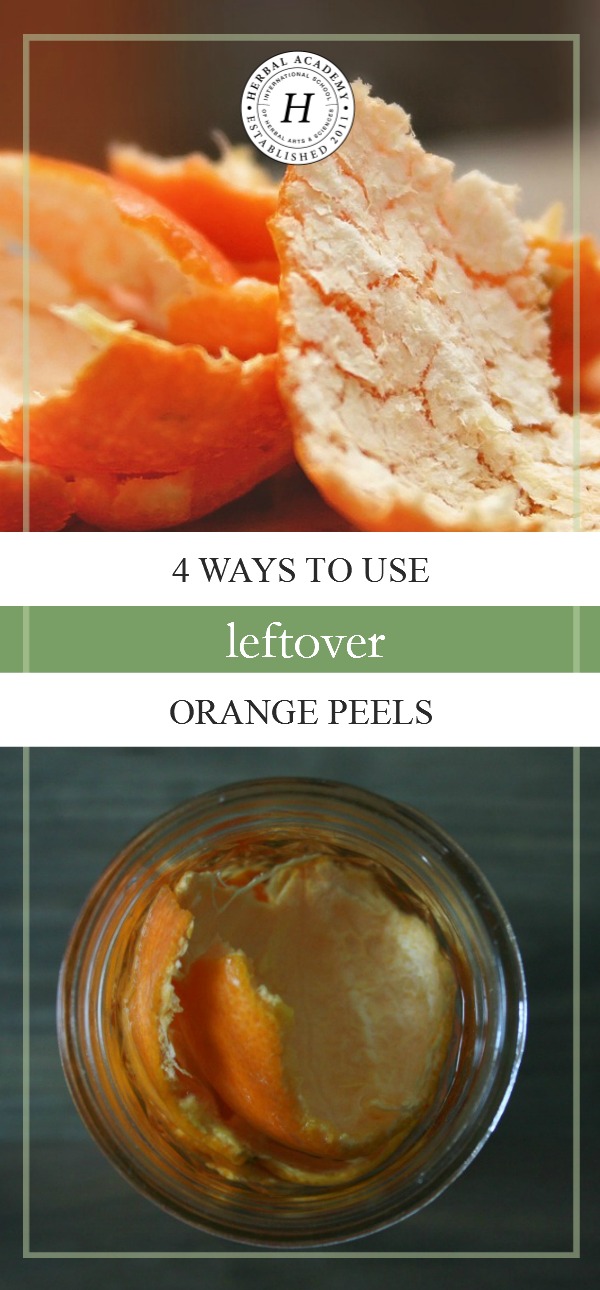 4 Ways To Use Leftover Orange Peels | Herbal Academy | If you're a fan of oranges, you'll love these 4 ways to use the leftover orange peels!