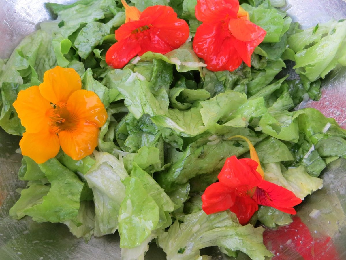 Edible Flowers and How to Use Them