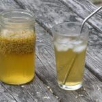 3 Cooling Herbal Teas For Summer | Herbal Academy | Looking for ways to beat the summer heat? Find relief with these 3 cooling herbal teas for summer that your family and friends will love!