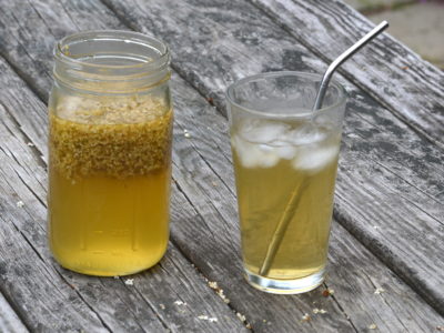 3 Cooling Herbal Teas For Summer | Herbal Academy | Looking for ways to beat the summer heat? Find relief with these 3 cooling herbal teas for summer that your family and friends will love!