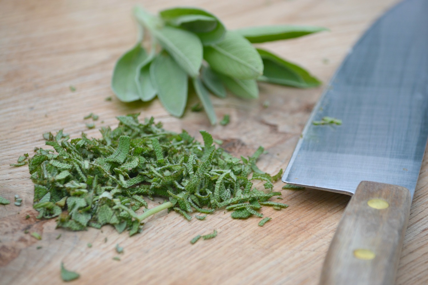 Book Review: Recipes from the Herbalist’s Kitchen by Brittany Wood Nickerson | Herbal Academy | Love food? Love herbs? Love cookbooks? Then you'll love this one! Come check out our review of this brand new herbal cookbook!