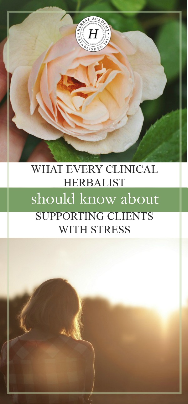 What Every Clinical Herbalist Should Know About Supporting Clients With Stress | Herbal Academy | Come take a sneak peek into our new Herbarium feature... our very first herbal intensive for clinical herbalists on supporting their clients with stress!