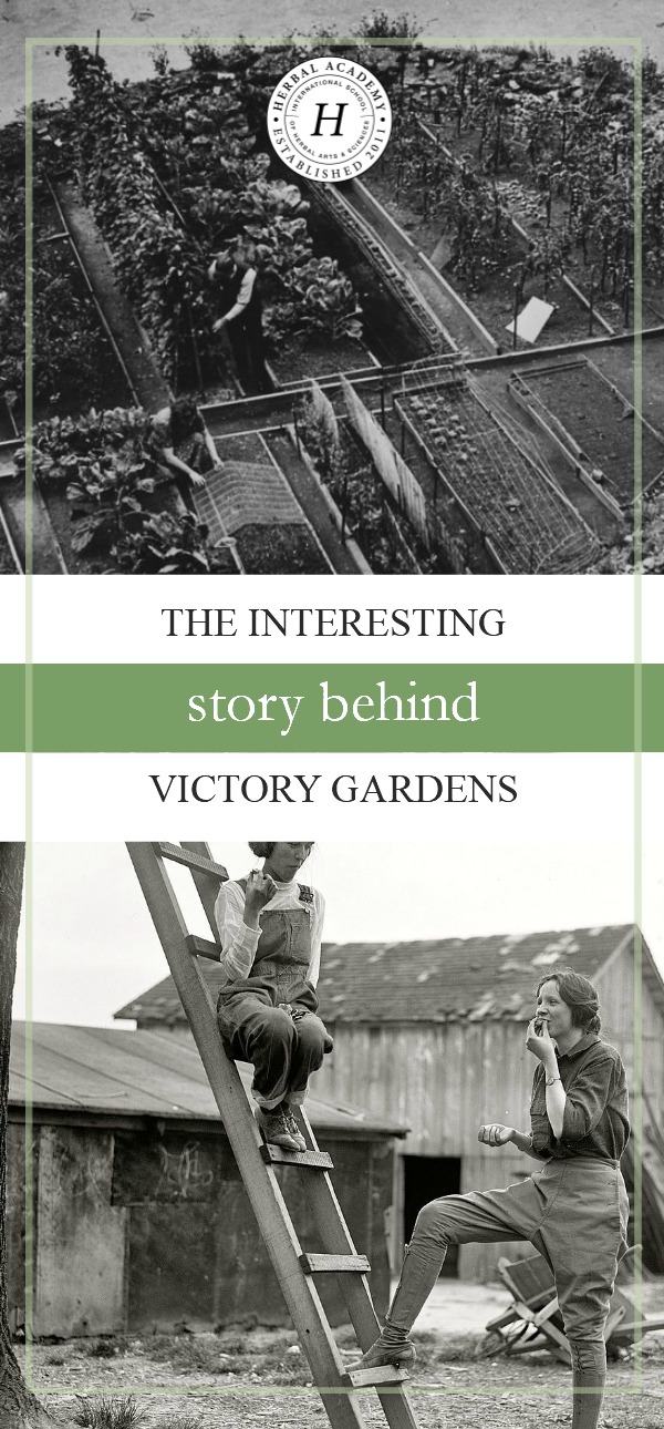 The Interesting Story Behind Victory Gardens | Herbal Academy | Do you know the history of community gardening dates back to World War I? Learn about historical and modern day victory gardens in today's post!