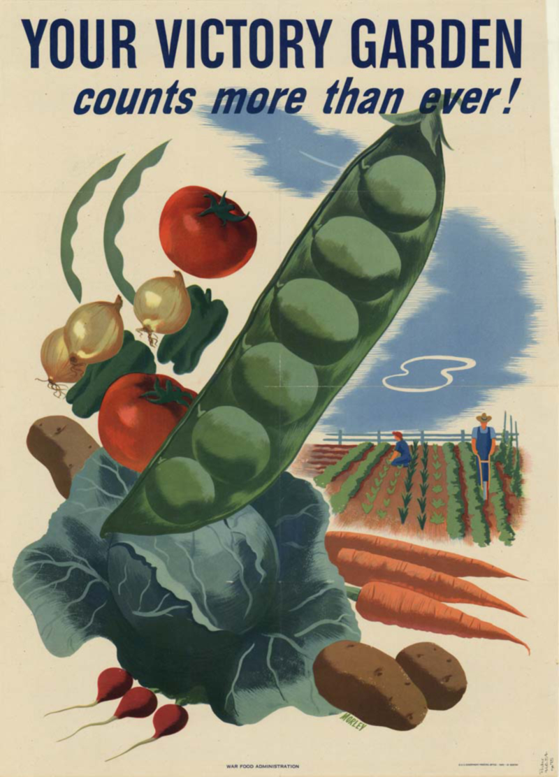 The Interesting Story Behind Victory Gardens | Herbal Academy | Do you know the history of community gardening dates back to World War I? Learn about historical and modern day victory gardens in today's post!