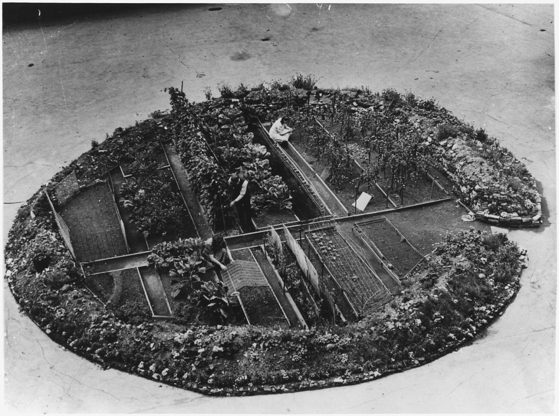 The Interesting Story Behind Victory Gardens | Herbal Academy | Do you know the history of community gardening dates back to World War I? Learn about historical and modern day victory gardens in today's post!