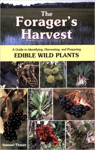 5 Foraging Guide Books To Help You Identify & Harvest Plants | Herbal Academy | Would you like to know more about identifying and harvesting plants? Here are 5 foraging guide books to get you started on your journey!