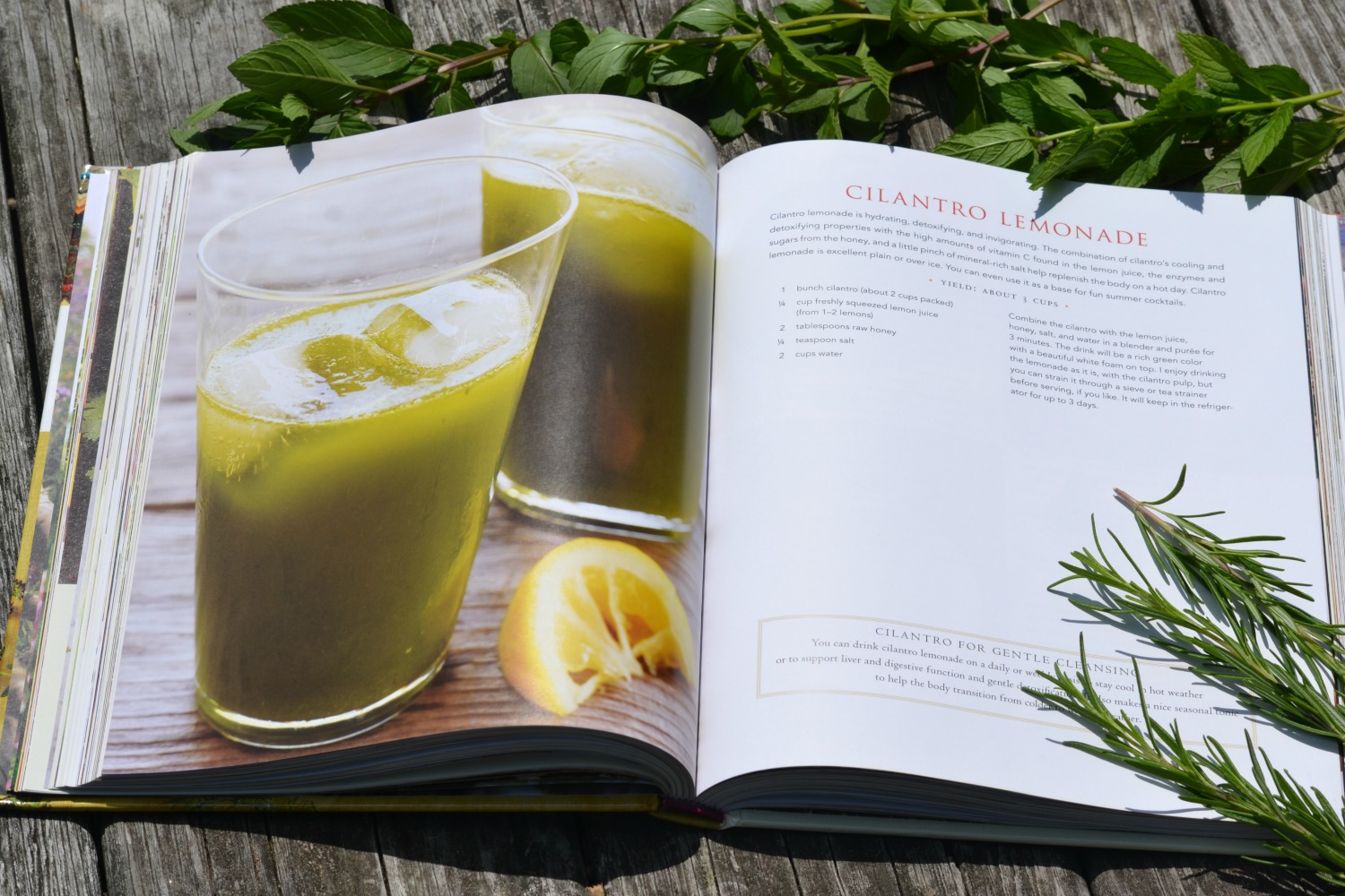 Book Review: Recipes from the Herbalist’s Kitchen by Brittany Wood Nickerson | Herbal Academy | Love food? Love herbs? Love cookbooks? Then you'll love this one! Come check out our review of this brand new herbal cookbook!
