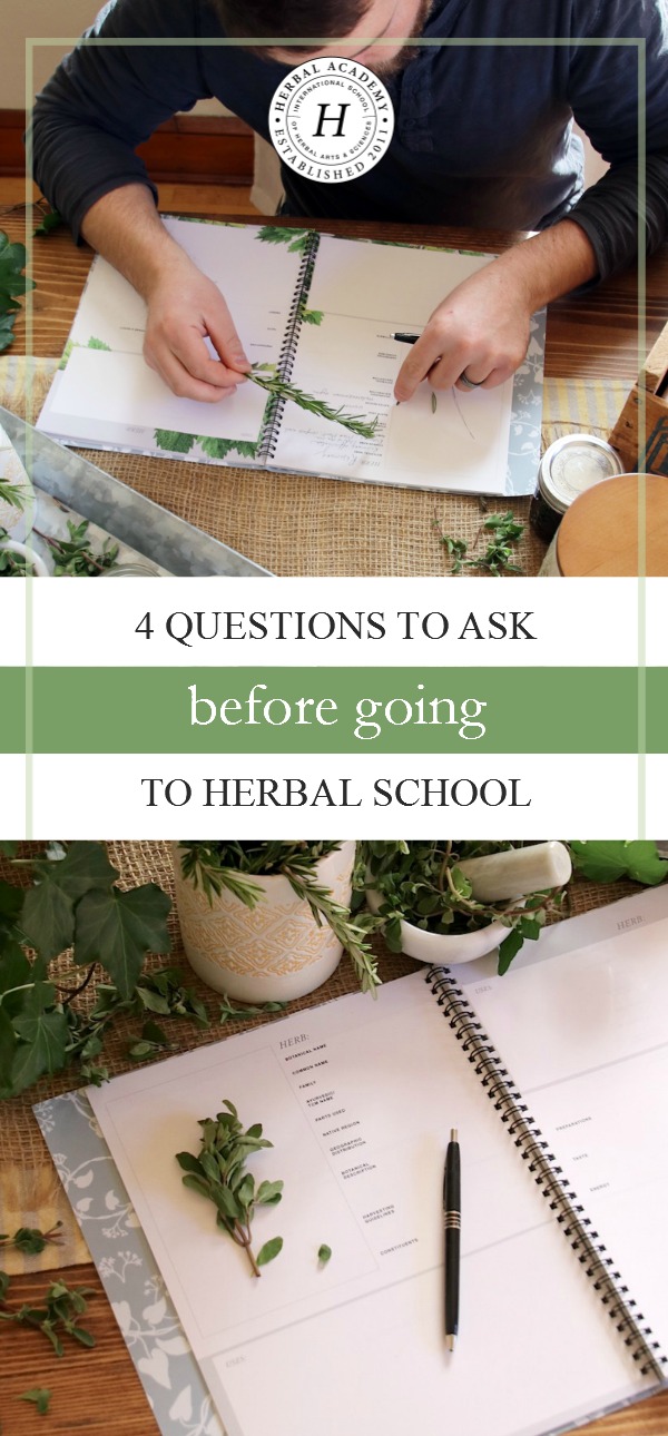 4 Questions To Ask Before Going To Herbal School | Herbal Academy | Thinking about going to herbal school? How do you know if our herbal school is right for you? Here are 4 questions to ask yourself before deciding!