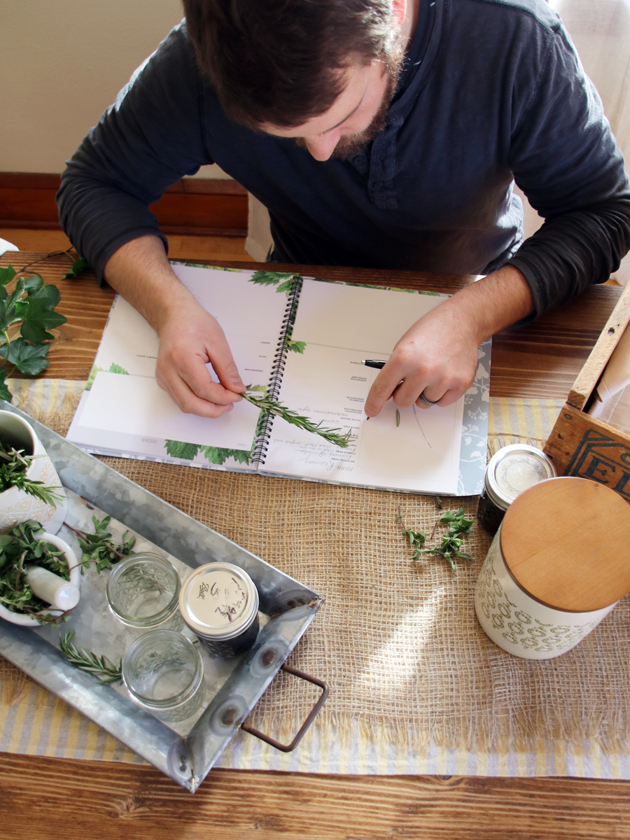 4 Questions To Ask Before Going To Herbal School | Herbal Academy | Thinking about going to herbal school? How do you know if our herbal school is right for you? Here are 4 questions to ask yourself before deciding!