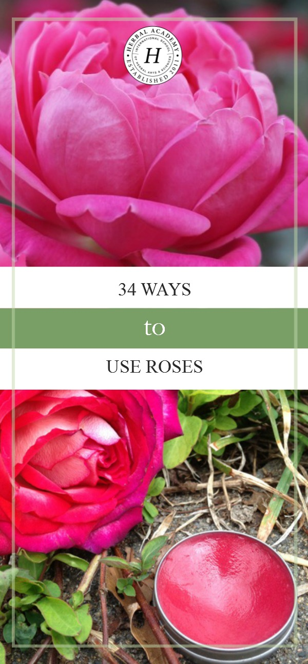 34 Ways To Use Roses | Herbal Academy | If you're planning to harvest rose this season, you may be wondering how to put your bounty to good use. If so, we've gathered 34 DIY rose recipes to help you make the most of your rose harvest!