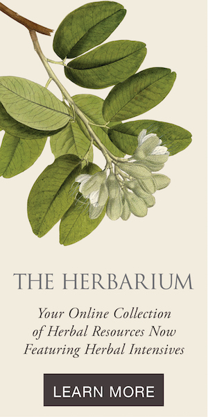 The Herbarium by the Herbal Academy