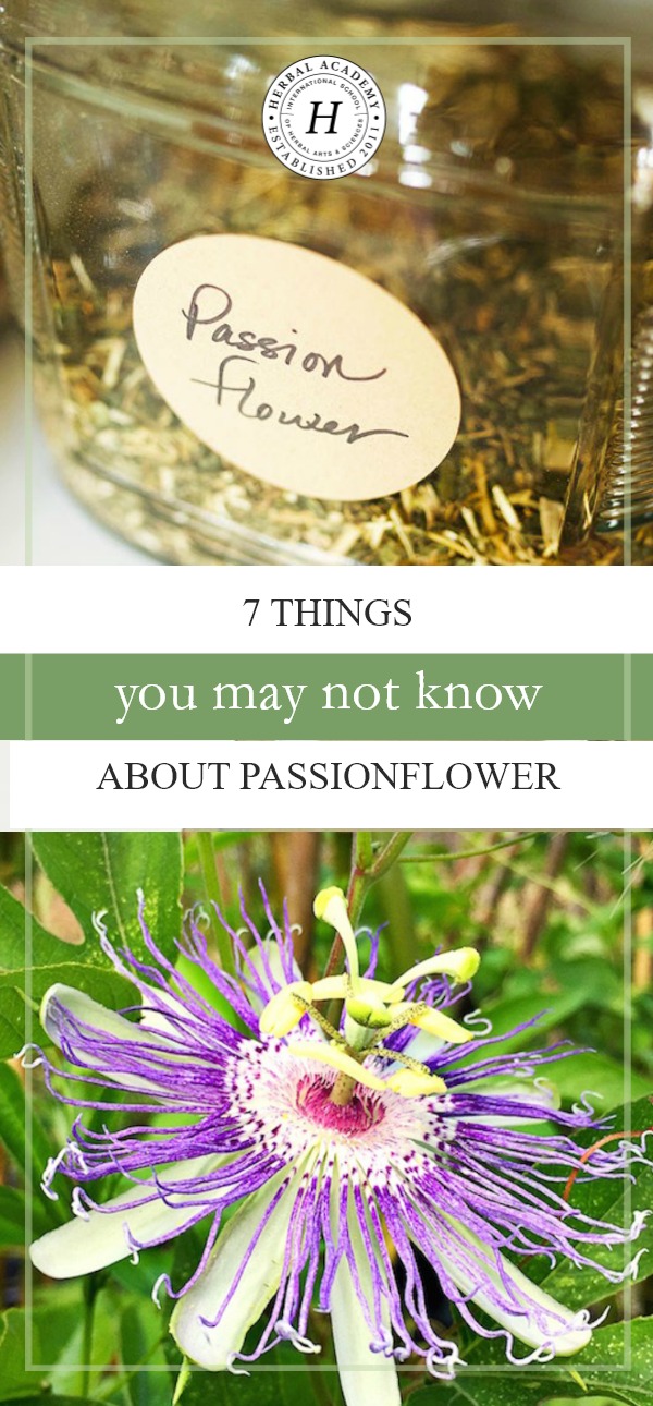 7 Things You May Not Know About Passionflower | Herbal Academy | Do you know passionflower has a calming and soothing effect on the nervous system? Here are 7 other things you may not know about this herb!