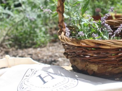 Herbal Q&A: 5 Herbal Academy Team Members Share Their Herbal Advice | Herbal Academy |Have you ever wanted to sit down with a group of herbalists and pick their brains? Today we have Herbal Academy team members sharing herbal advice with