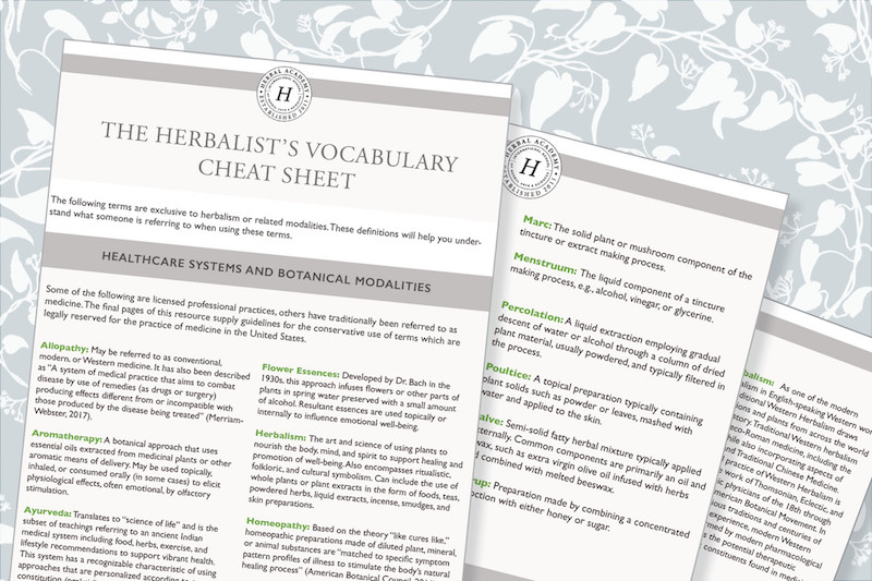 The Herbalist's vocabulary Cheat Sheet