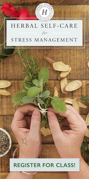 Enroll in the Herbal Self-Care for Stress Management Course