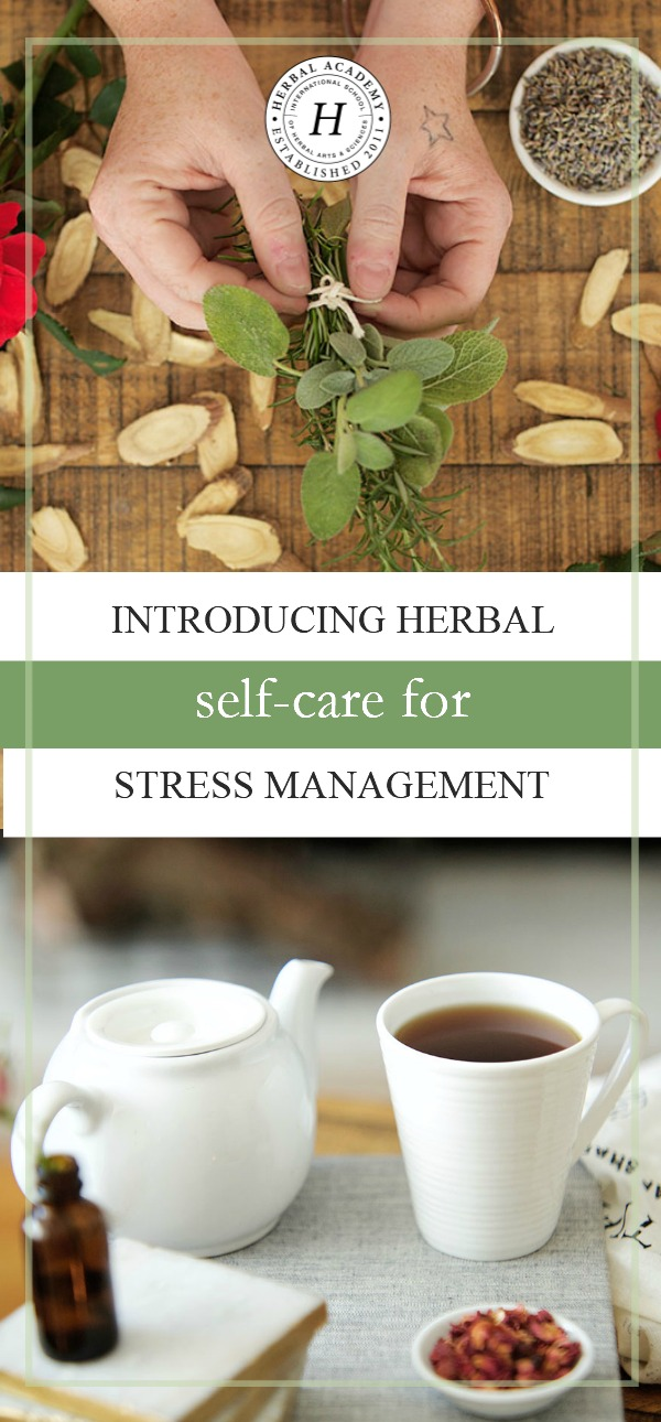 Introducing Our Newest Short Course: Herbal Self-Care For Stress Management | Herbal Academy | The Herbal Academy team has been working behind the scenes on our newest short course: Herbal Self-Care For Stress Management! Check it out today!