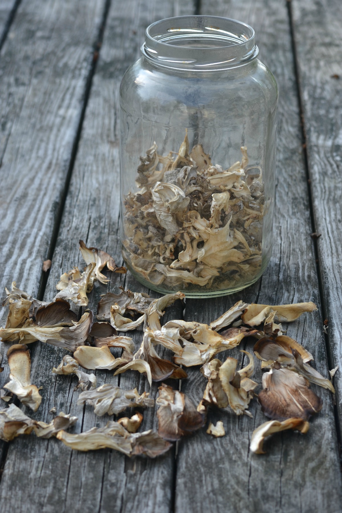 Maitake 101: A Valuable Mushroom | Herbal Academy | Maitake mushrooms are high in nutrients and are great for the immune system! Here's a delicious recipe as well as other ways to use this healthy food.