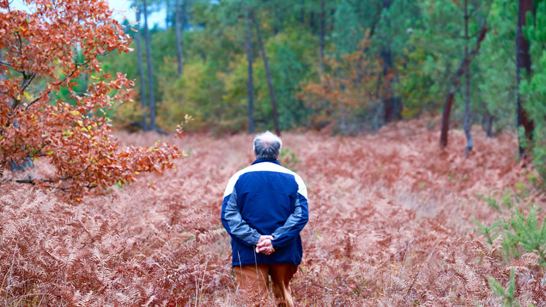 What Research Says About Essential Oils and Alzheimer’s and Dementia | Herbal Academy | Do you have a loved one that suffers from a neurodegenerative disease? Learn what research says about essential oils and Alzheimer's and dementia.