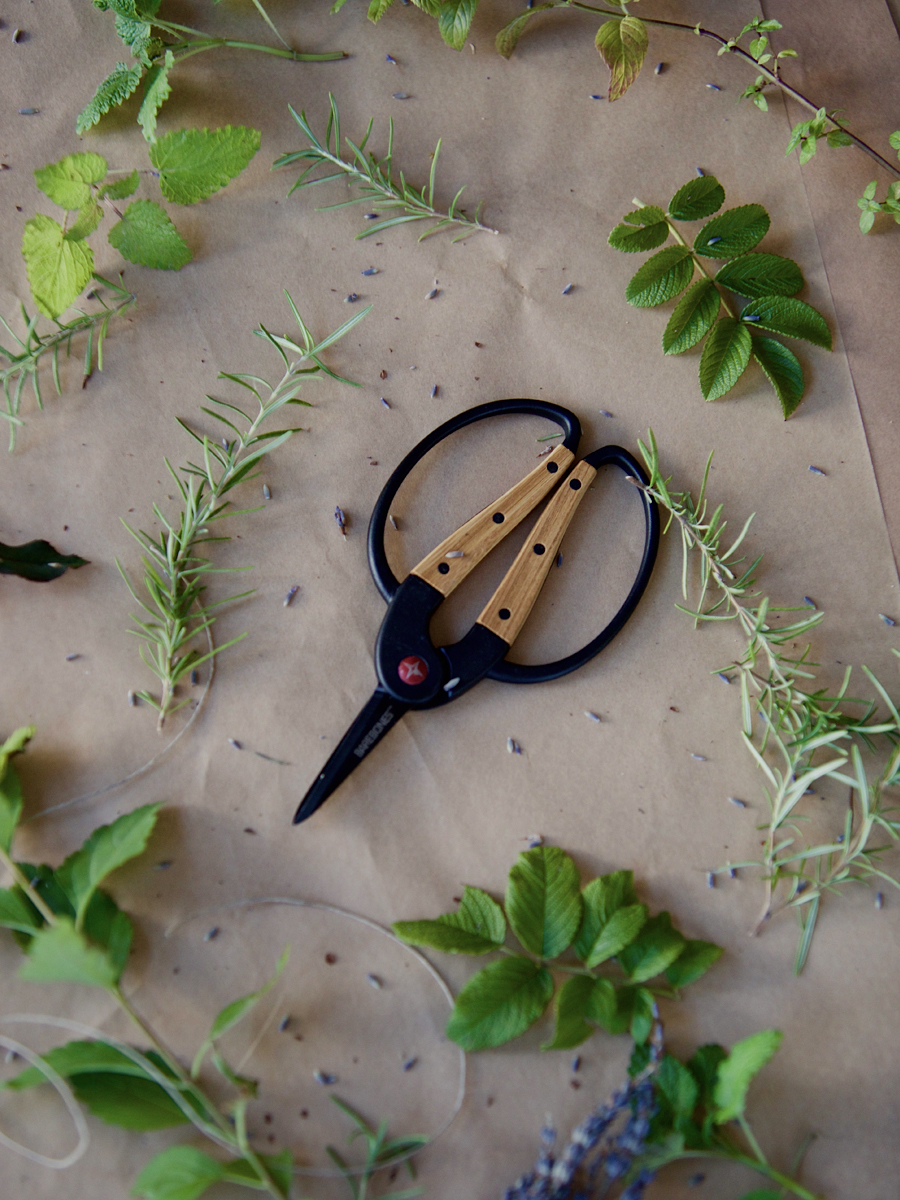 Foraging Scissors- Herbal Academy Goods Shop