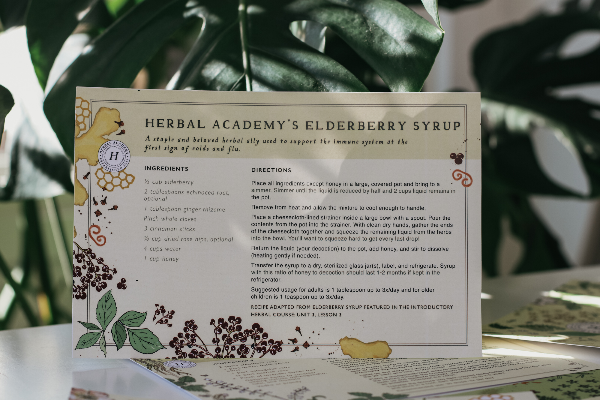 Herbal Recipe Cards Set of 25 Herbal Academy