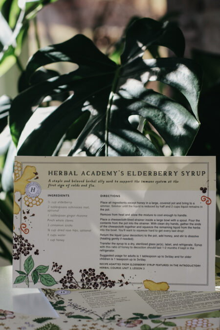 Herbal Recipe Card Set by Herbal Academy – best Elderberry Syrup recipe