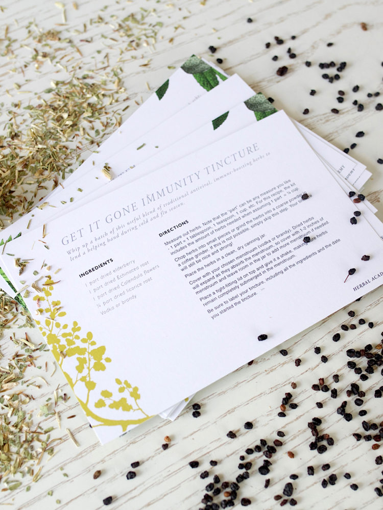 Herbal Recipe Cards Set of 25 Herbal Academy