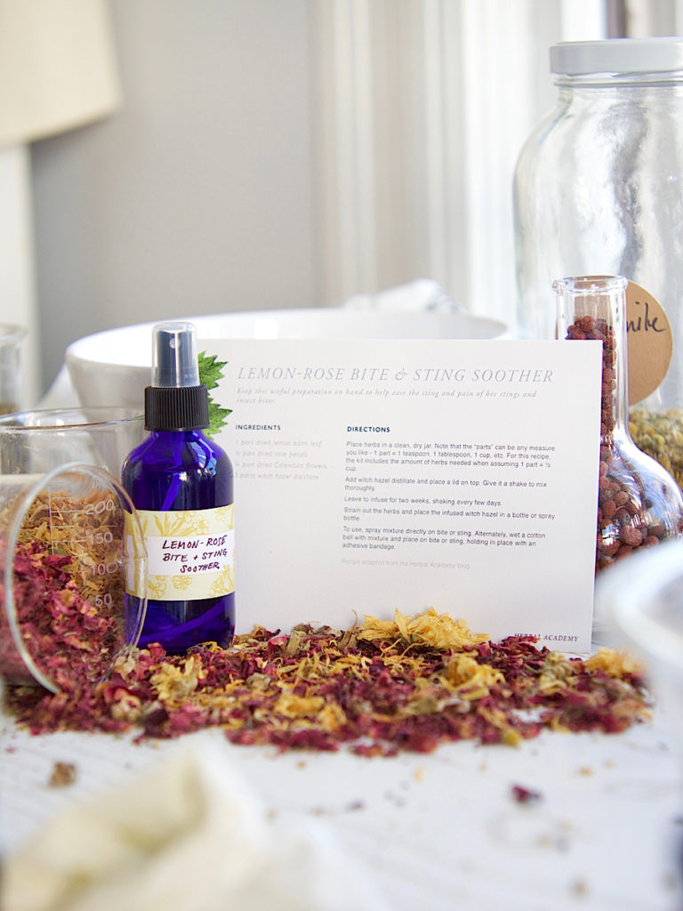 Herbal Recipe Cards Set of 25 Herbal Academy