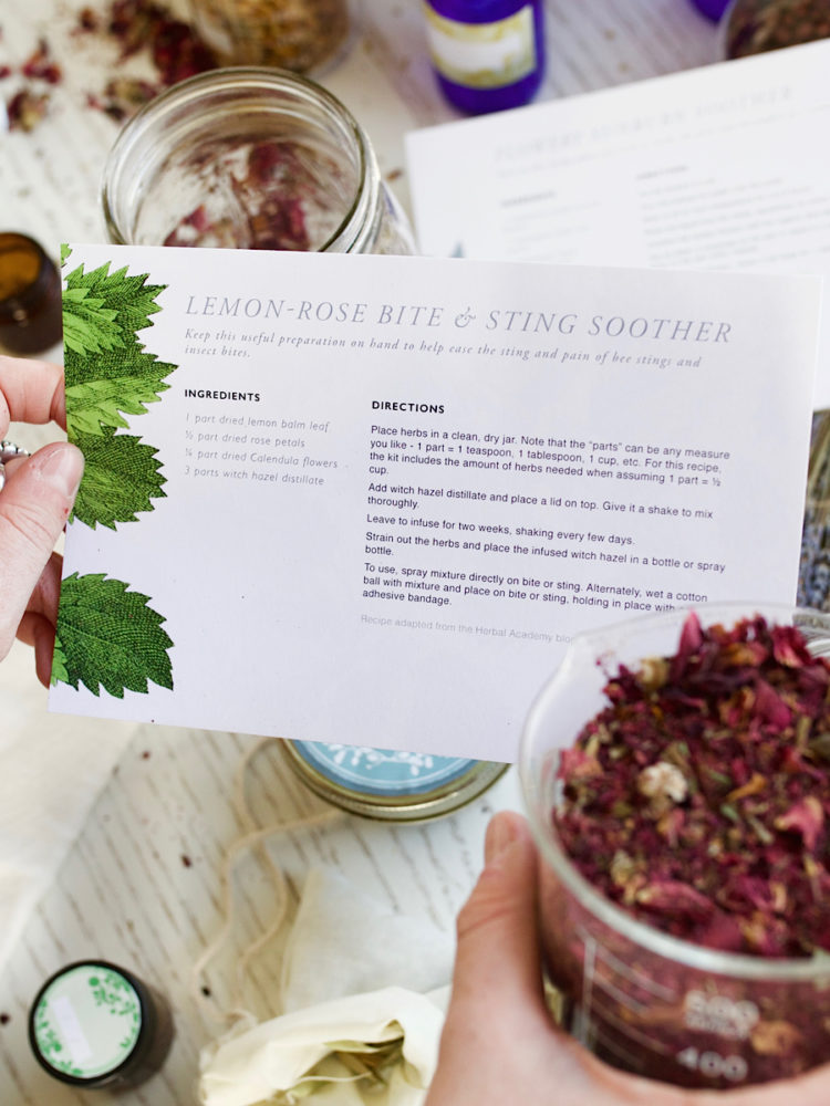 Herbal Recipe Cards Set of 25 Herbal Academy