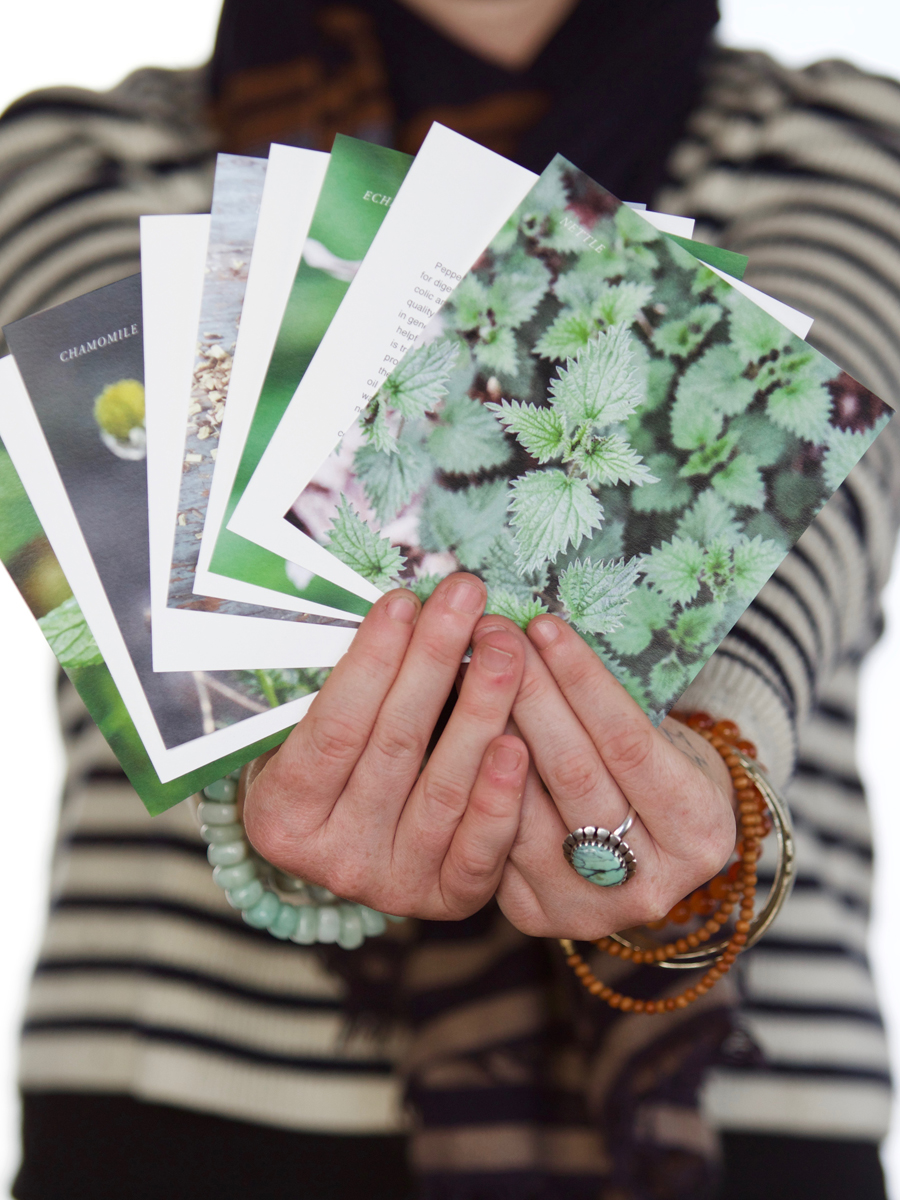 Mini Plant Monograph Cards in the Herbal Academy Goods Shop