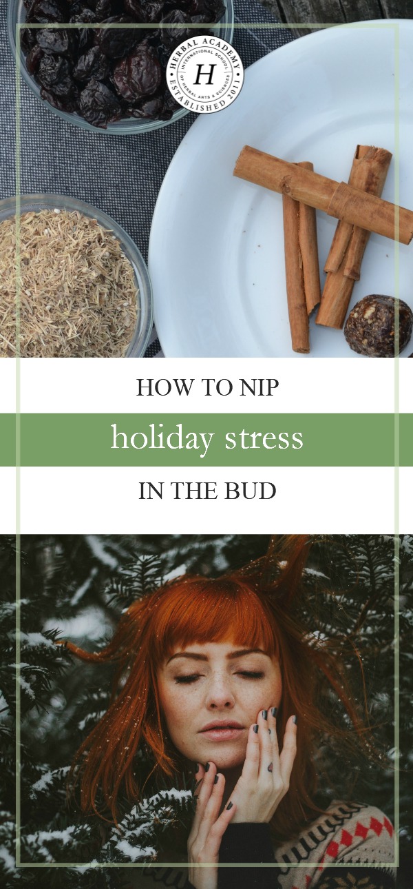 How To Nip Holiday Stress In The Bud | Herbal Academy |Are you taking time for self-care during this busy time of year? Here are some tips to help you nip holiday stress in the bud, including a recipe!