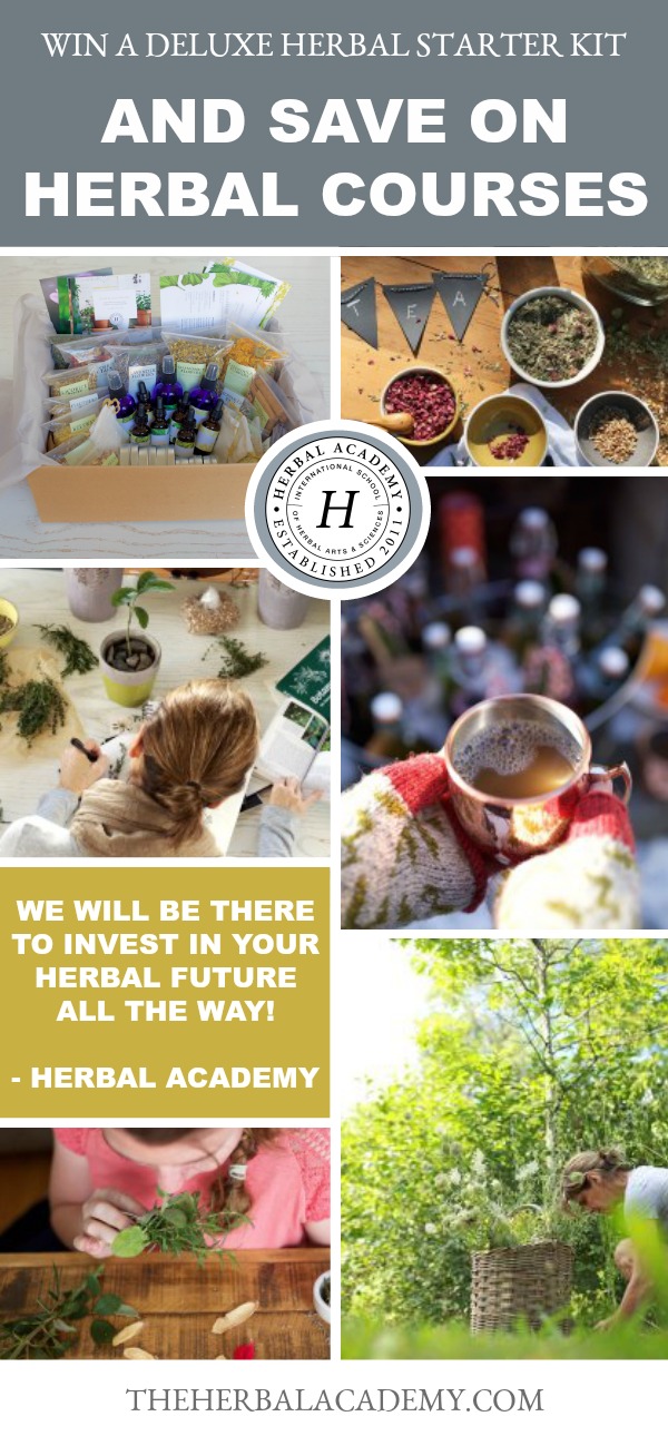 Here’s How To Win A Free Deluxe Herbal Starter Kit And Save On Herbal Academy Courses and Packages! | Herbal Academy | Our Holiday Sale is here. Learn how you can save on all our herbal courses and paths and enter to win one of our Deluxe Herbal Kits as well!