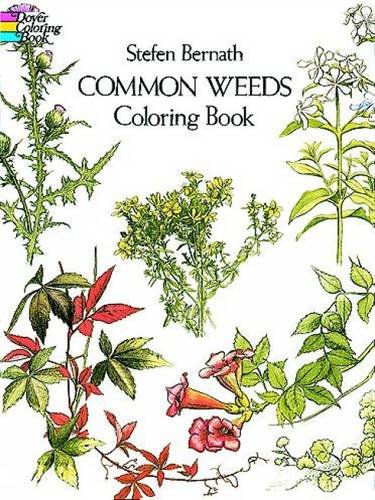Coloring to Learn: An Herbal Coloring Book Review | Herbal Academy | Have you considered learning herbalism through coloring? Here's a collection of coloring books to help any herbalist get to know herbs on a new level!