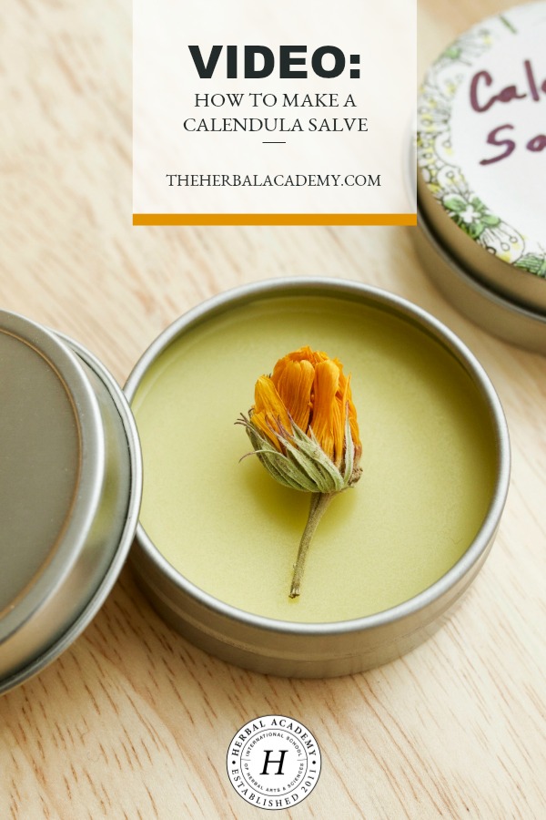 Video: How To Make A Calendula Salve | Herbal Academy | Would you like to learn how to make salve in the comfort of your own home? In this short video we walk you through the steps to creating your very own calendula salve!