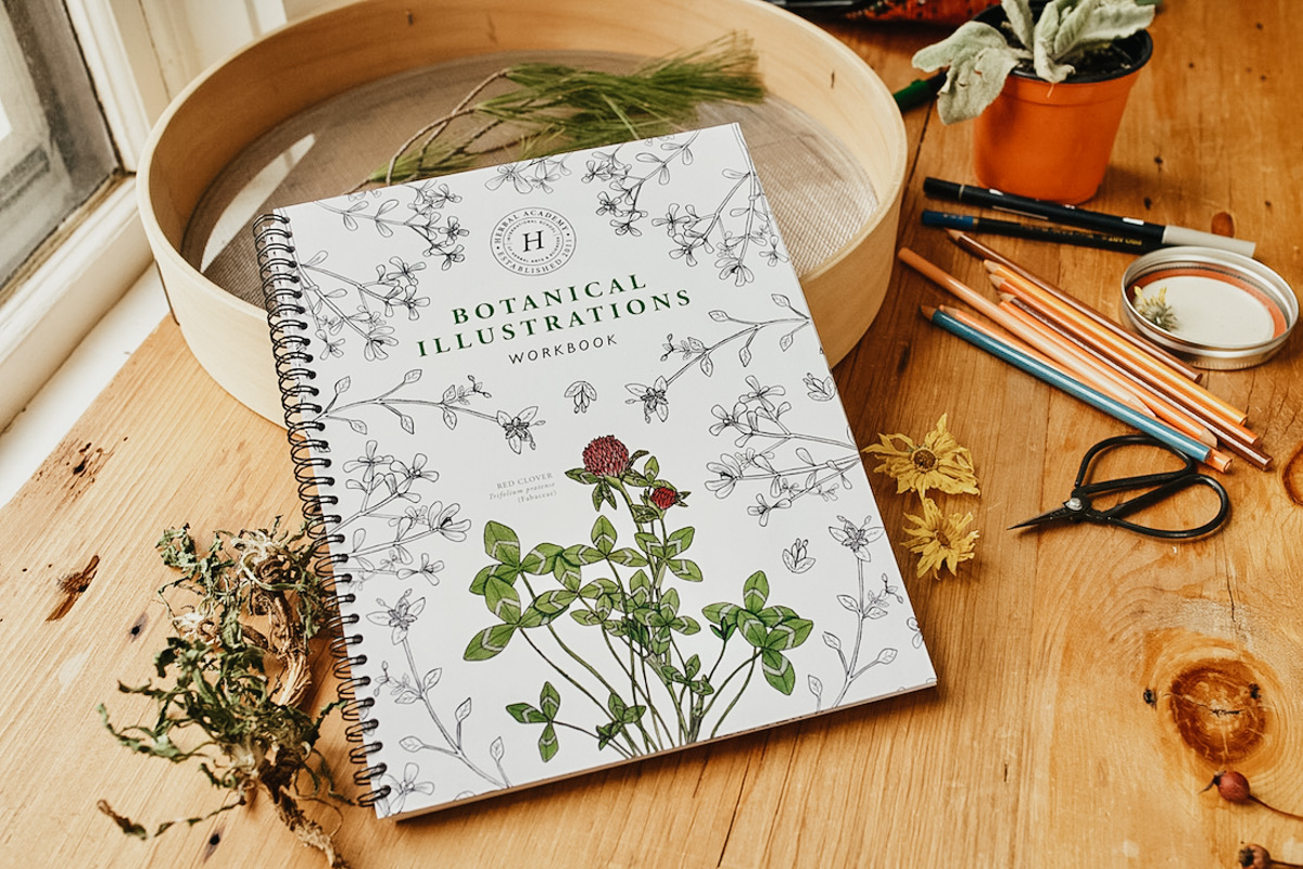 Herbal Academy's Botany and Wildcrafting Course