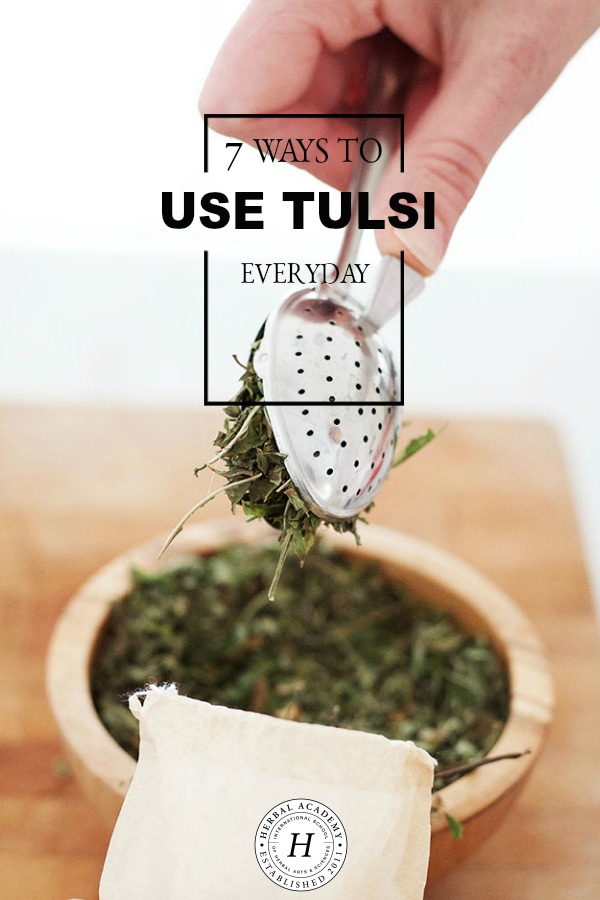 7 Ways To Use Tulsi Everyday | Herbal Academy | Since tulsi is becoming a more popular herb around the world, we've put together 7 ways you can use tulsi everyday at home.