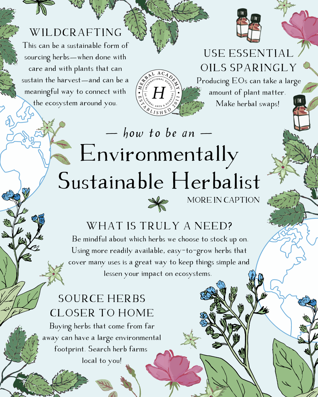 How to be an environmentally sustainable herbalist