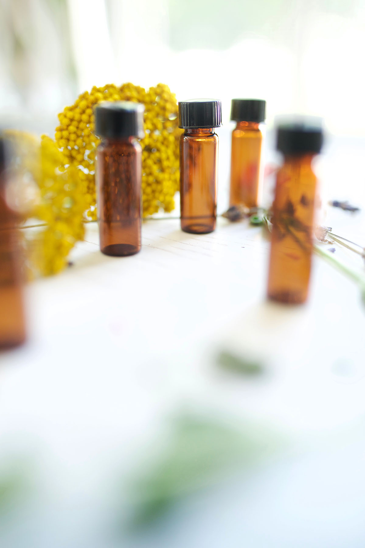 The Ultimate Essential Oils Guide | Herbal Academy | We have designed this Ultimate Essential Oils Guide to help you navigate through some of the very important topics and issues in aromatherapy that we've written about on the Herbal Academy blog. Our goal is to continually update this post with new articles and information so it can be a valuable resource for you.