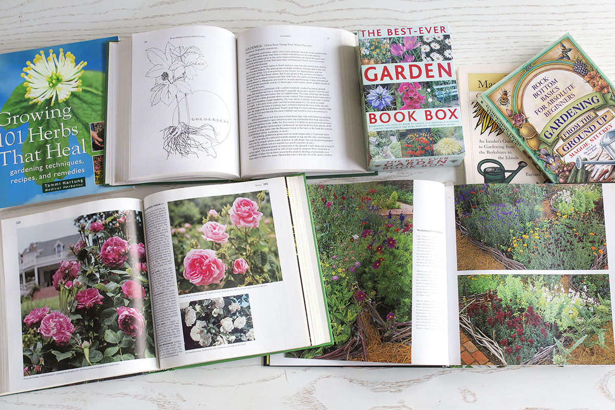 5 Herb Gardening Books To Inspire Your Next Botanical Garden | Herbal Academy | Whether you are a seasoned herb grower or a newbie, we've compiled five herb gardening books that are sure to help inspire your next botanical garden.