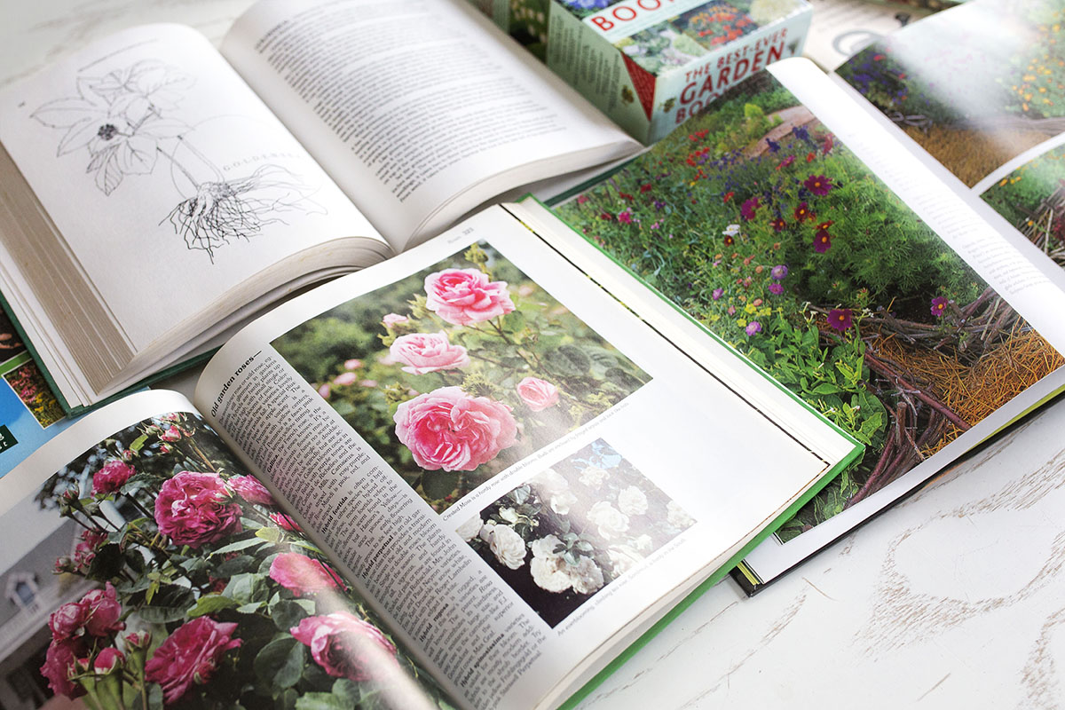 5 Herb Gardening Books To Inspire Your Next Botanical Garden | Herbal Academy | Whether you are a seasoned herb grower or a newbie, we've compiled five herb gardening books that are sure to help inspire your next botanical garden.