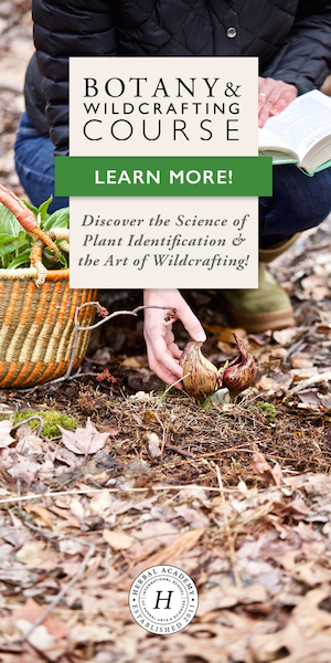 Learn how to wildcraft and identify plants confidently in the Botany & Wildcrafting Course!