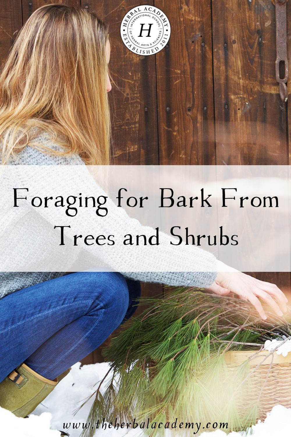 Ever wanted to harvest bark from trees or shrubs? In this post, we'll teach you four bark harvesting rules to follow so you can harvest bark correctly.