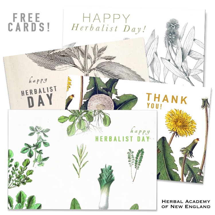 Free Botanical Thank You Card Downloads | Herbal Academy | Happy Herbalist Day! We have compiled a list of free resources to help you make this Herbalist Day (April 17th) special for the herbalists in your life!