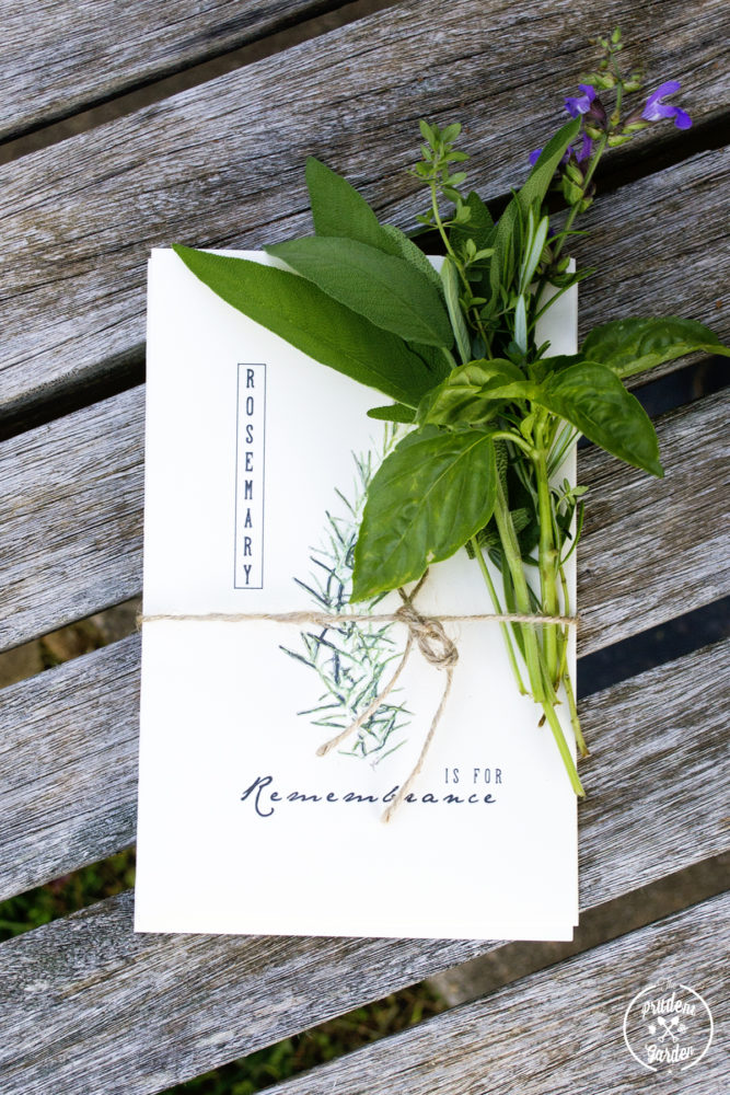 Free Botanical Thank You Card Downloads | Herbal Academy | Happy Herbalist Day! We have compiled a list of free resources to help you make this Herbalist Day (April 17th) special for the herbalists in your life!