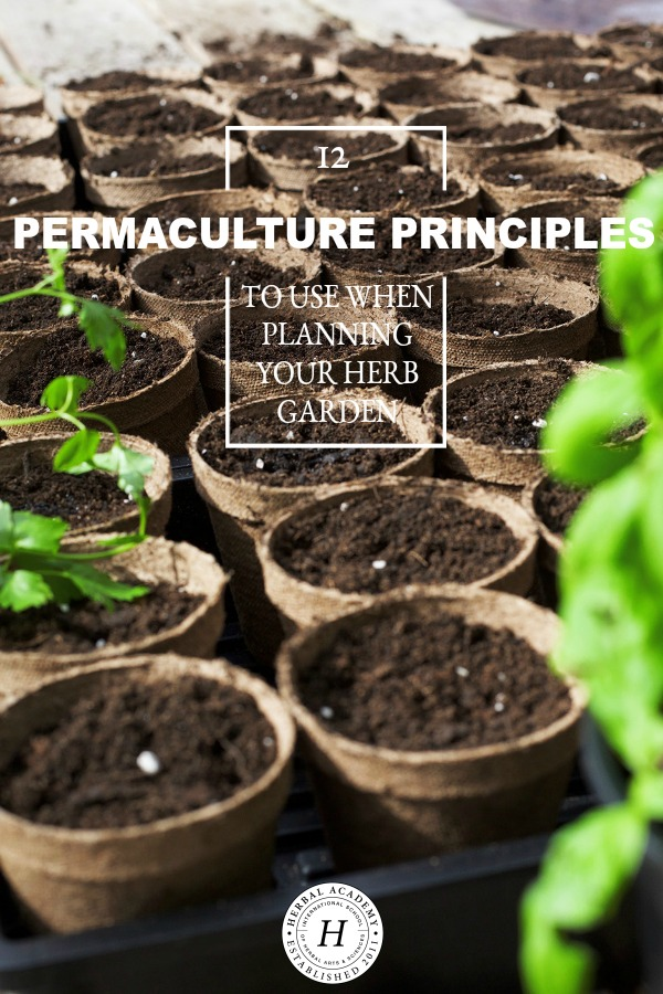 12 Permaculture Principles to Use When Planning Your Herb Garden | Herbal Academy | Permaculture principles are not just a way of growing things, they're a way of life. Here's 12 suggestions to assist you in your herb garden planning.